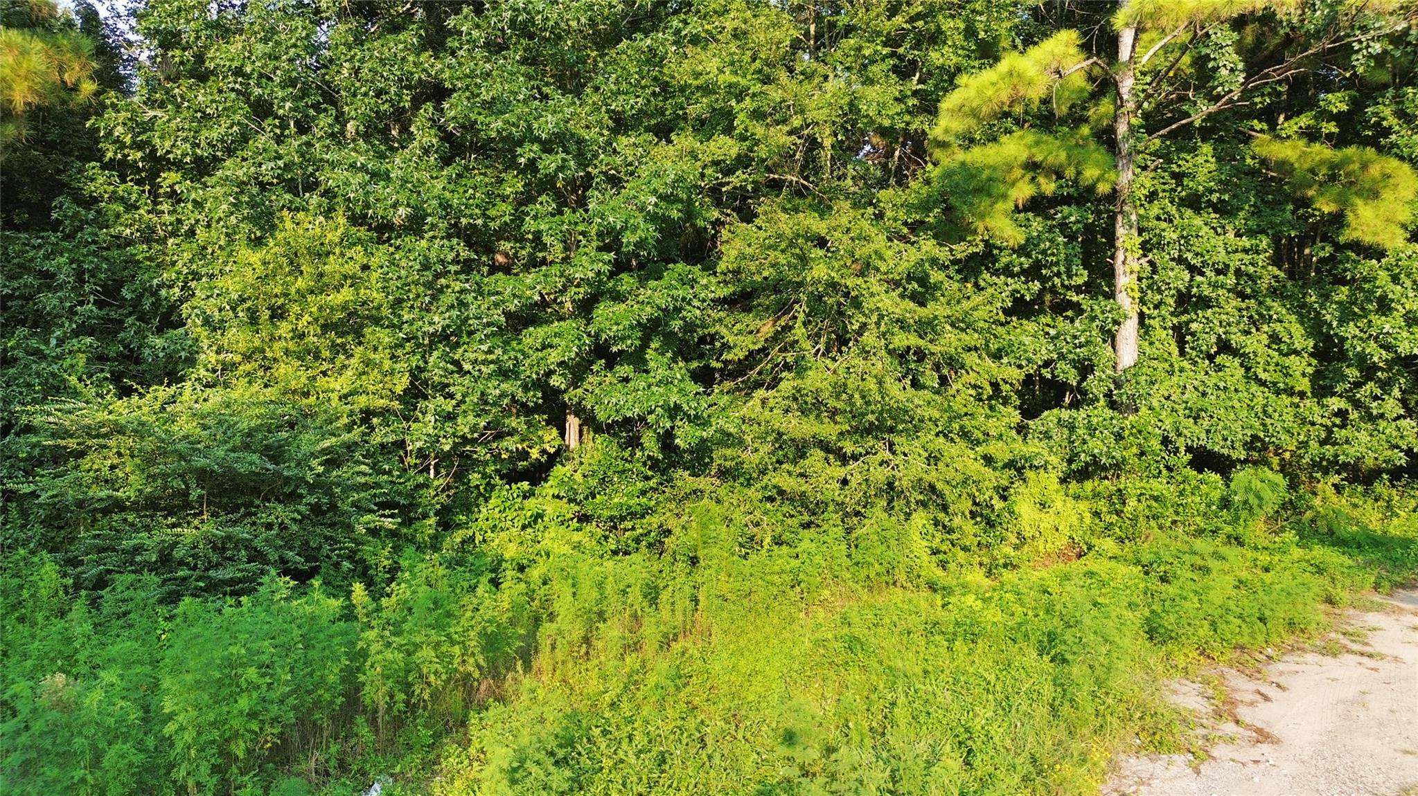 Land in New Caney 3