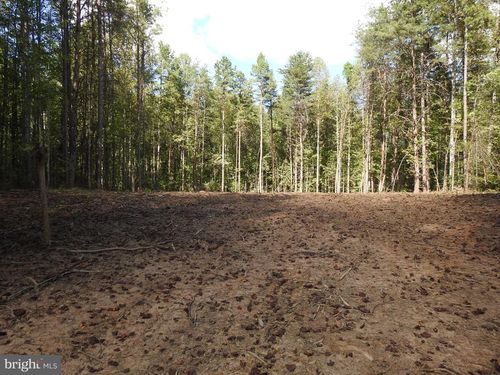 541 Equestrian Landing Trl, BUMPASS, VA, 23024-4445 | Card Image