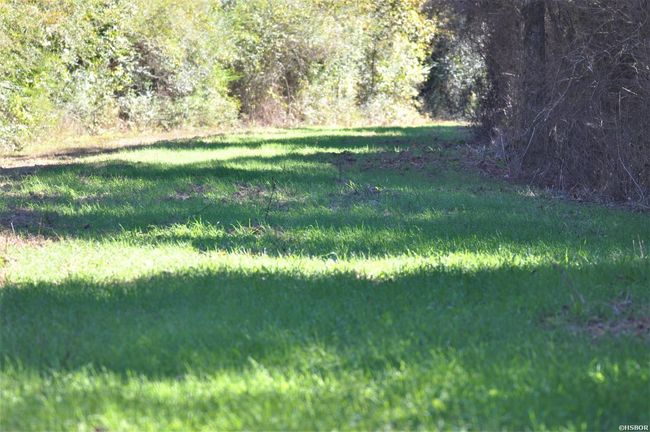 000 Dallas 273 Rd, Home with 0 bedrooms, 0 bathrooms and null parking in Sparkman AR | Image 8