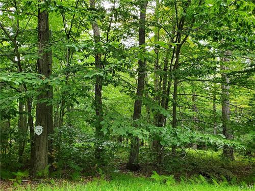 lot-32-32 Tall Oak Dr, Pocono Lake, PA, 18347 | Card Image
