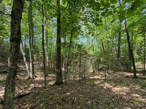 Lot 127 Woodhill Ct, Minocqua, WI, 54548 | Card Image