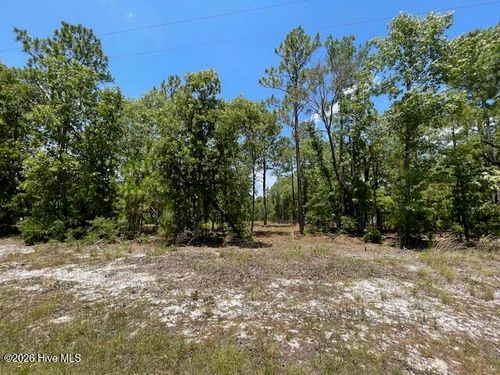 0 Bear Branch Dr, Currie, NC, 28435 | Card Image
