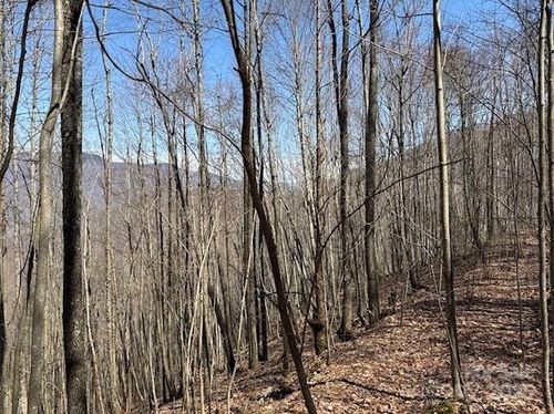 140-140 Boar Ridge Rd, Sylva, NC, 28779-4818 | Card Image