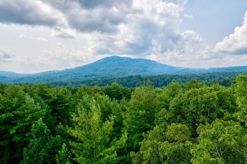 21 Bear Hollow Dr, mineral bluff, GA, 30559 | Card Image