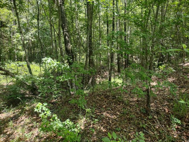1100 Sapp Rd, House other with 3 bedrooms, 3 bathrooms and 3 parking in Dry Branch GA | Image 21