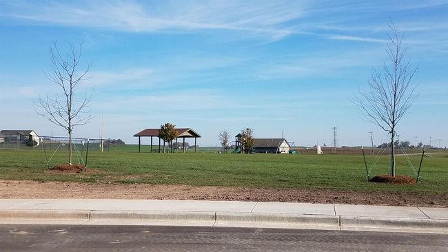 849 Valley Rd, Home with 0 bedrooms, 0 bathrooms and null parking in DANE WI | Image 22