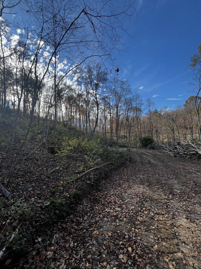 0 Northcutts Cove Rd, Home with 0 bedrooms, 0 bathrooms and null parking in Beersheba Springs TN | Image 20
