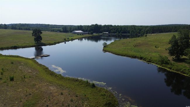 Water view featuring a heavily wooded area | Image 14