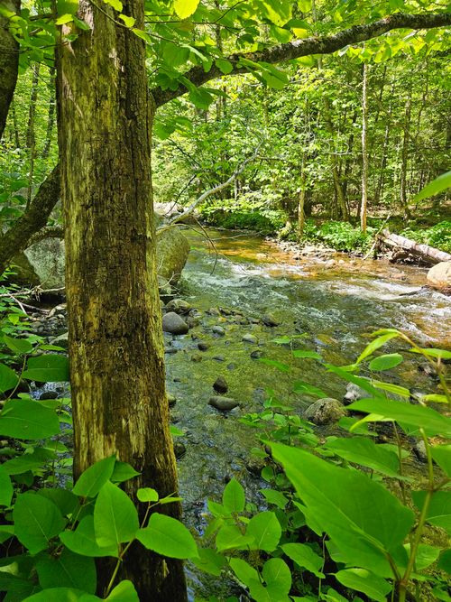869 Stinson Lake Rd, Rumney, NH, 03266-3196 | Card Image