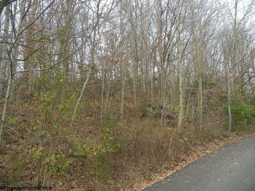 N-1 Lemley St, Morgantown, WV, 26508 | Card Image