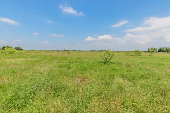 View of local wilderness with rural landscape | Image 15