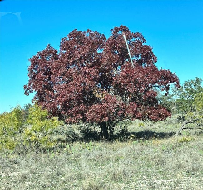 View of nature | Image 9