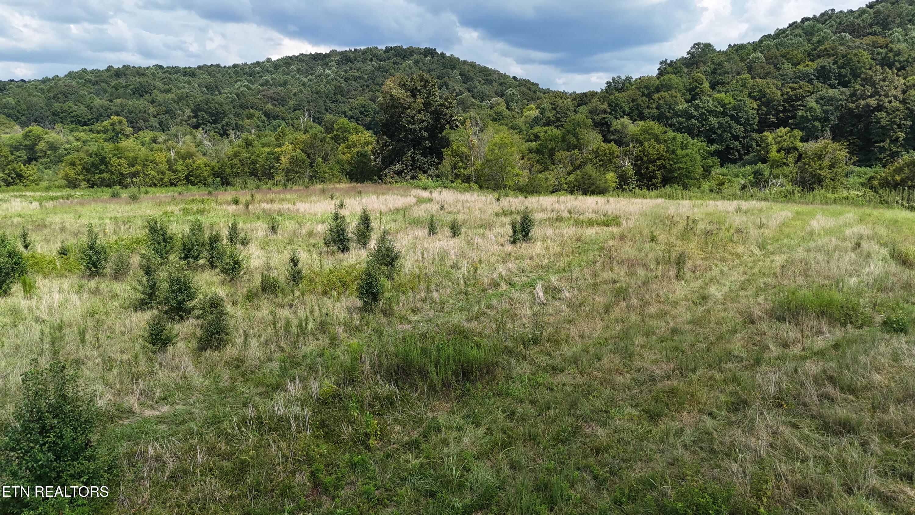 Land in Riceville