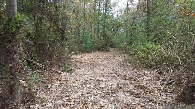 Parcel 2-A Hano Rd, Home with 0 bedrooms, 0 bathrooms and null parking in Independence LA | Image 8