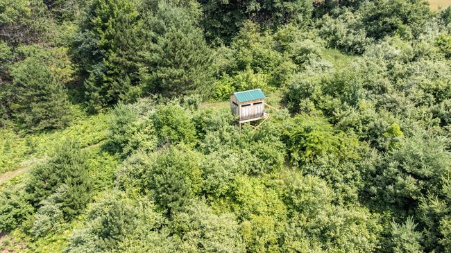 5004 N Cypress Ave, Home with 0 bedrooms, 0 bathrooms and null parking in Big Rapids MI | Image 25
