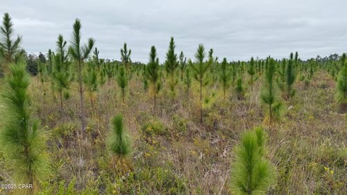 10900 E Highway 388, Youngstown, FL, 32466-3036 | Card Image