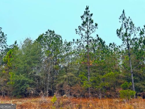 0 Jw Miller Rd, Reynolds, GA, 31076 | Card Image