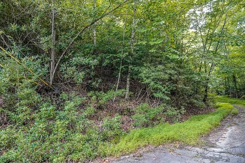 101 Chipmunk Ln, Beech Mountain, NC, 28604 | Card Image