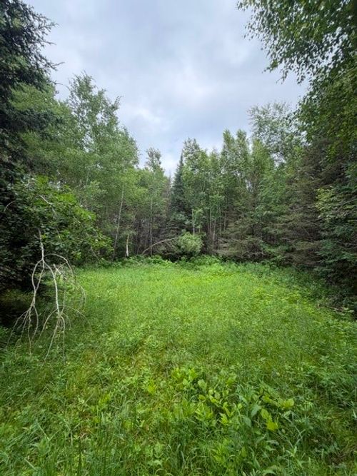 S 20 Acres 5th Ave, Trego, WI, 54888 | Card Image
