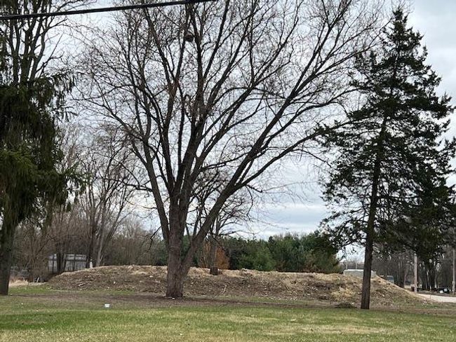 800 N Main St, Home with 0 bedrooms, 0 bathrooms and null parking in PRAIRIE DU CHIEN WI | Image 5
