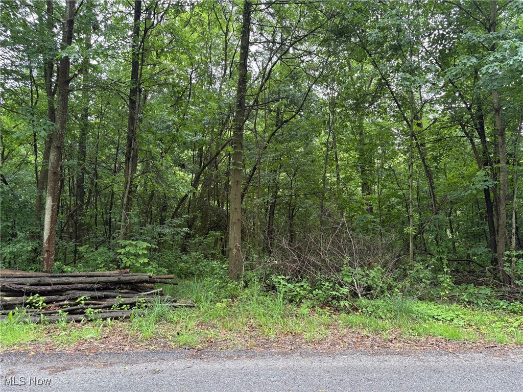 Land in Akron 5