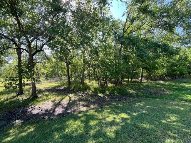 0 Squirrel Holw, Home with 0 bedrooms, 0 bathrooms and null parking in Damon TX | Image 5