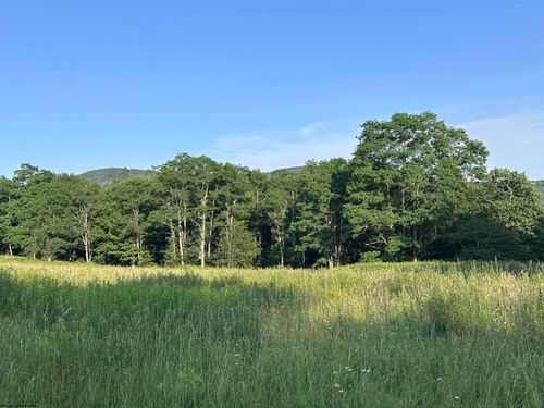 Lot 1003 Sunset Mountain Village, Slaty Fork, WV, 26291 | Card Image