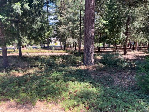 4400 Santa Croce Ct, Foresthill, CA, 95631-9243 | Card Image