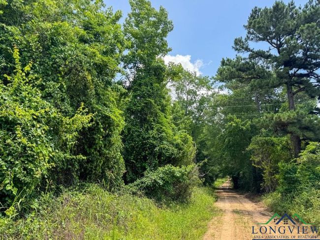 0000 Cr 1782, Home with 0 bedrooms, 0 bathrooms and null parking in Linden TX | Image 12