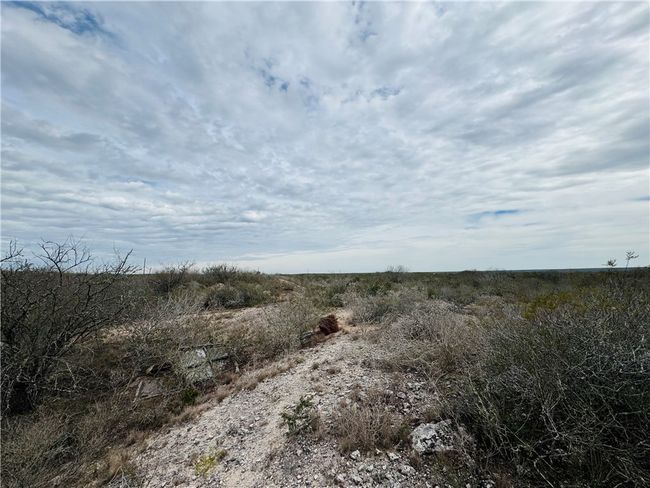 9156 Tx 339, Home with 0 bedrooms, 0 bathrooms and null parking in Freer TX | Image 25