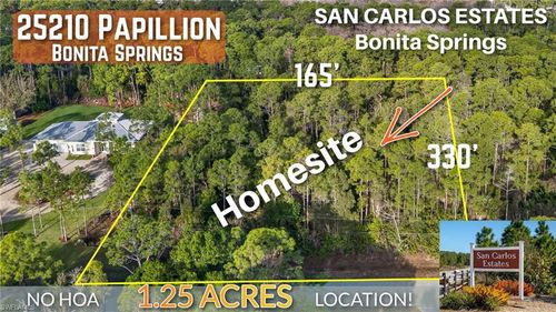 25210 Papillion Dr, BONITA SPRINGS, FL, 34135-8845 | Card Image