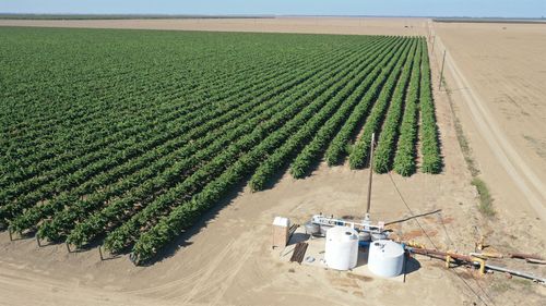 0 S Calaveras, Cantua Creek, CA, 93608 | Card Image