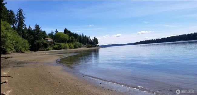 188Ft of pristine tideland where Orcas often visit! | Image 36
