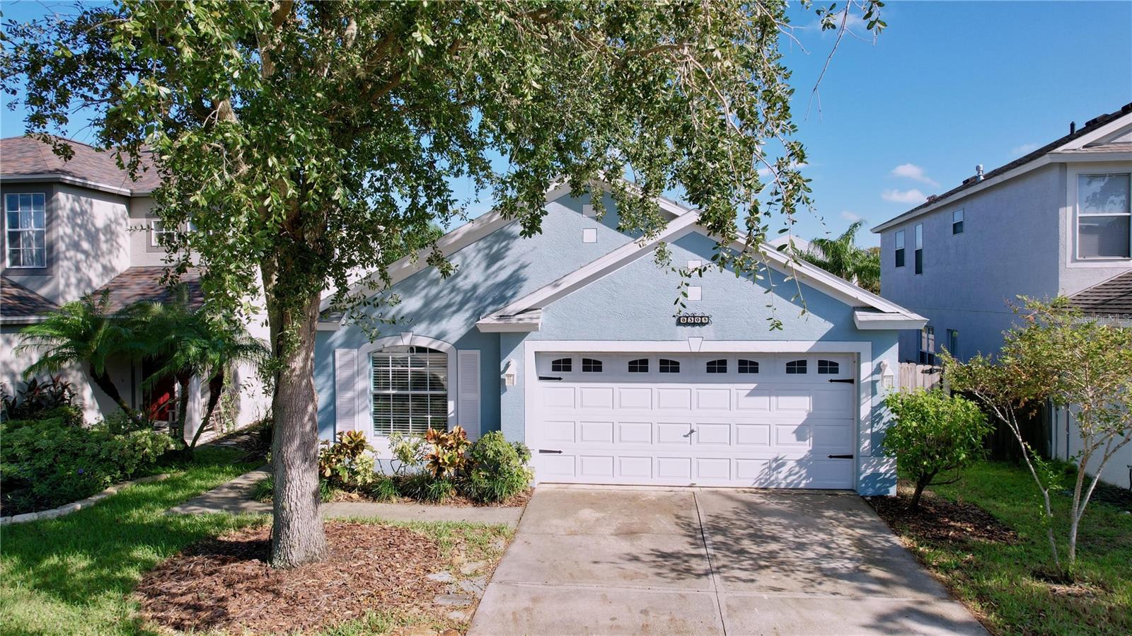 Night Owl Ct, New Port Richey, FL 34655