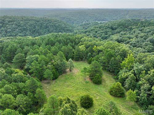 TBD County Road 6670 T8, Salem, MO, 65560 | Card Image