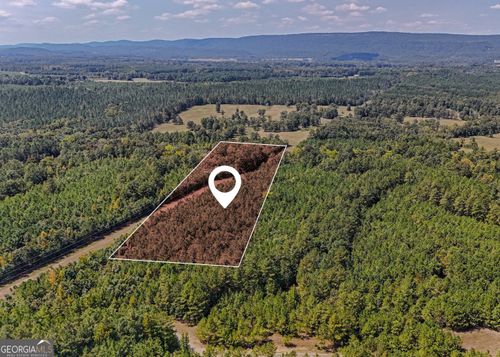 tract-3-0 County Road 235, Leesburg, AL, 35983 | Card Image