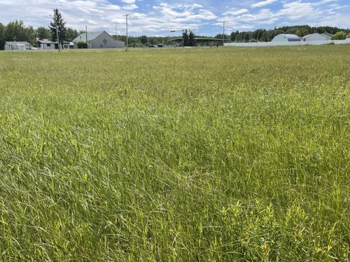 5002 50 Ave S, Brazeau County, AB, T0E0K0 | Card Image