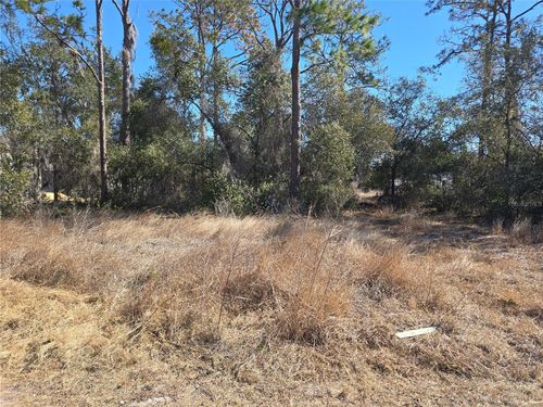 1344 Congo Ct, POINCIANA, FL, 34759-4653 | Card Image