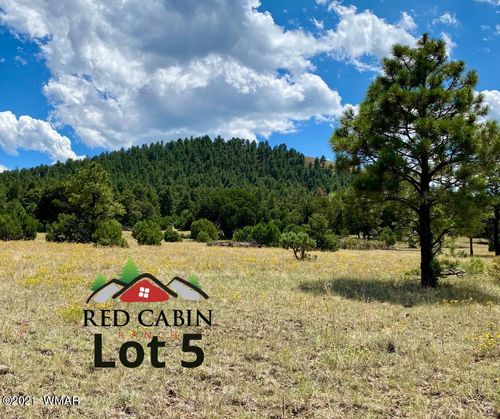 Lot 5 Red Cabin Ranch, Vernon, AZ, 85940 | Card Image