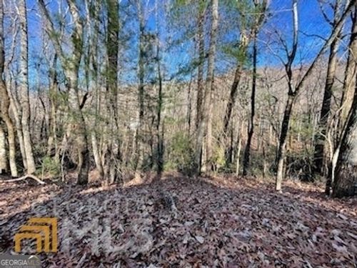 lot-3-0 Rebel Cir, Dillard, GA, 30537 | Card Image
