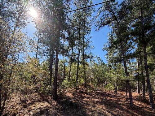 TBD Mamalu Drive, Bastrop, TX, 78602 | Card Image