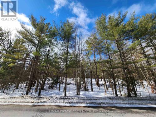 00 Manitoba Street, Bracebridge (Macaulay), ON, P1L1W9 | Card Image