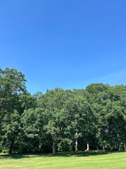 1 Lilac Lane, Grand Beach, MI, 49117 | Card Image