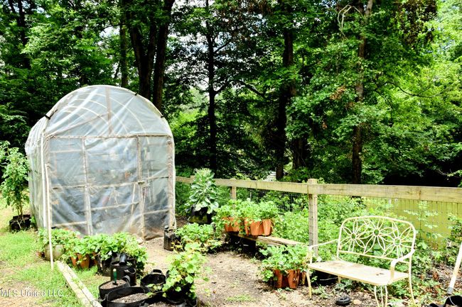 Glen art garden 2 | Image 38