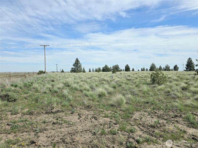 226 Duree Rd, Home with 0 bedrooms, 0 bathrooms and null parking in Bickleton WA | Image 4