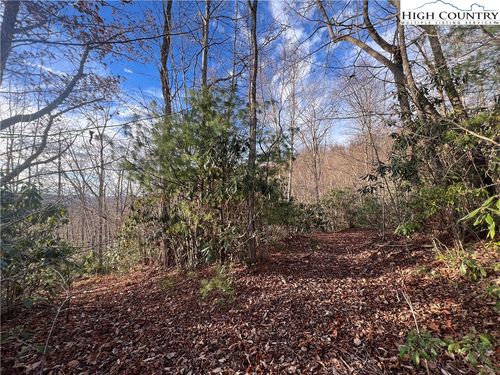 8 Stack Rock Road, Elk Park, NC, 28604 | Card Image