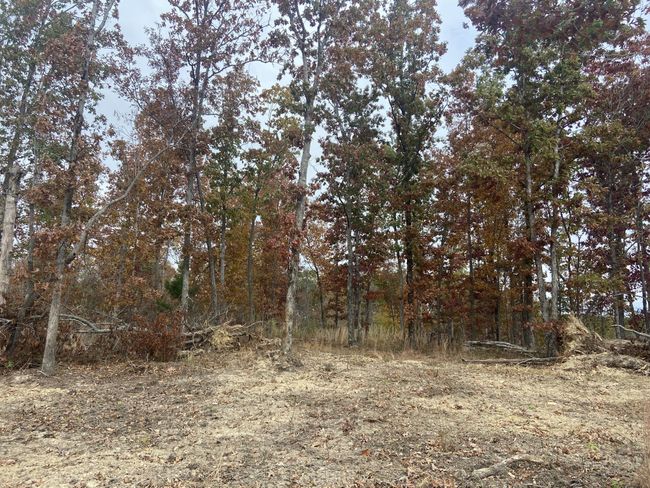 0 Mc Cord Hollow Rd, Home with 0 bedrooms, 0 bathrooms and null parking in Hohenwald TN | Image 17