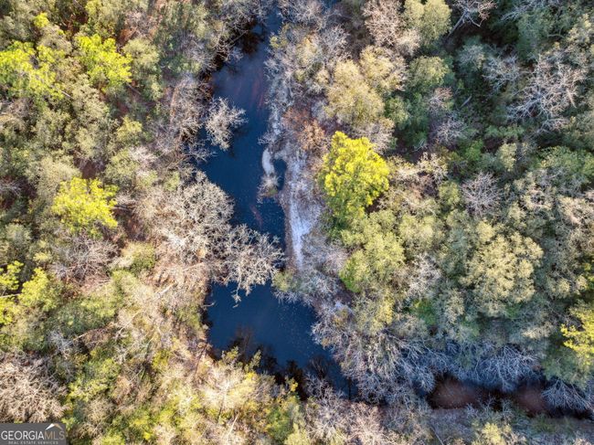 0 Highway 185, Home with 0 bedrooms, 0 bathrooms and null parking in Saint George GA | Image 13