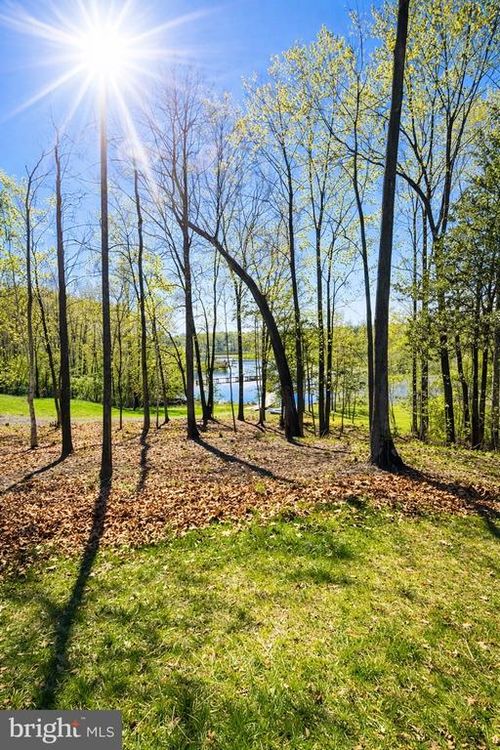 26700 Daniels Point Dr, UNIONVILLE, VA, 22567 | Card Image