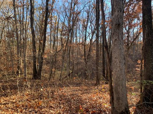 9.04 ACRES Ridge Rd, HARRISBURG, MO, 65256 | Card Image
